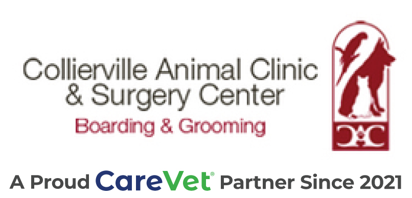 Collierville Animal Clinic Logo
